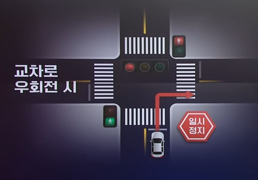 YTN뉴스 캡처화면