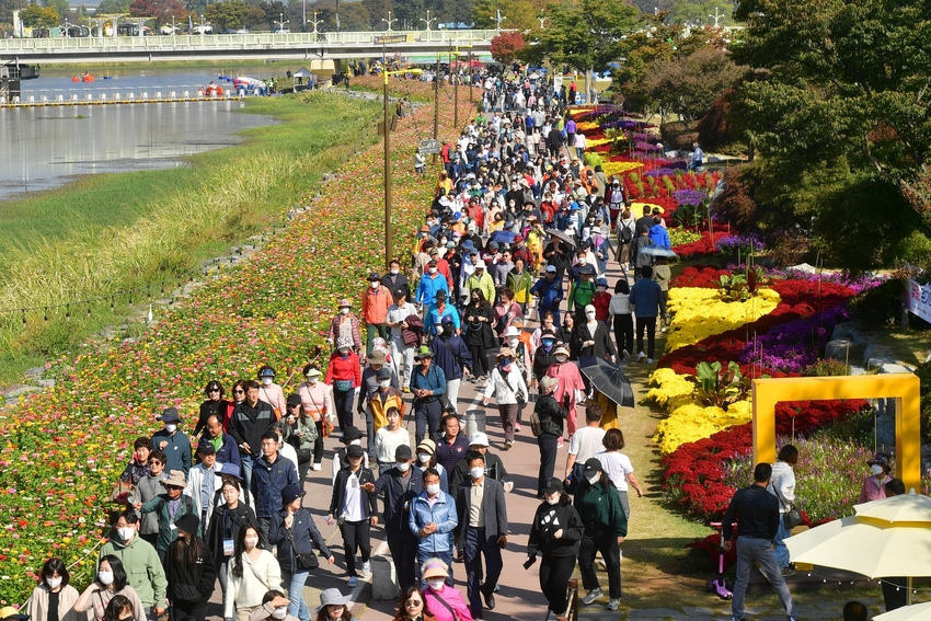 15일 오전, 장성 황룡강 가을꽃축제의 클라이막스인 걷기대회가 열렸다.