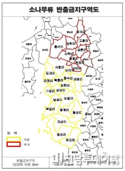 무안읍 신학리 소나무재선충병 신규 1주 발생, 무안군 긴급방제 실시