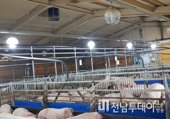 전남도, 22일까지 축사·사업장 주소지 읍면동서 접수