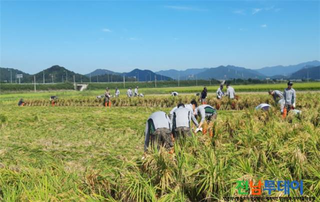 <사진제공=광양시청>