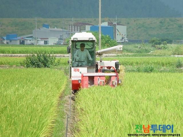 진도군 사진자료 제공