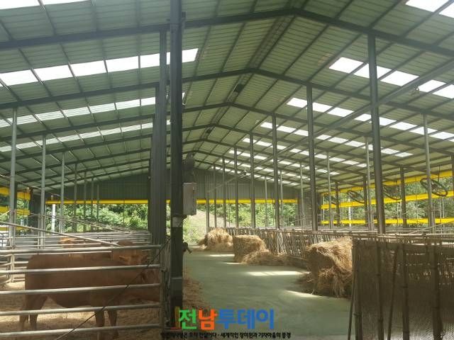 진도군청-사진제공