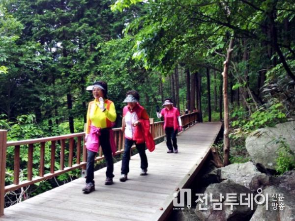 장흥 편백숲 우드랜드, 일상회복 나들이 인파 ‘북적’