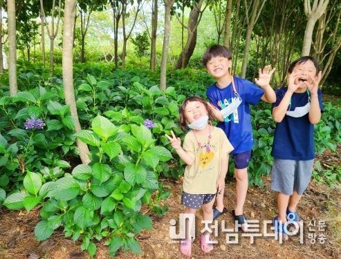 문가든 수목