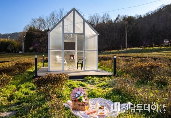 ‘보성愛 물들茶’, 보성군 이색 체험·감성 여행 프로그램 론칭