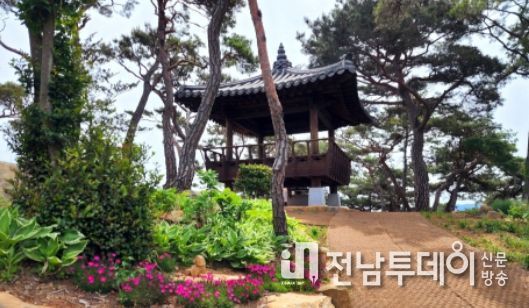 배알도 정상의 해운정 오르는 길에 진분홍 패랭이꽃이 앙증맞게 피어있다.