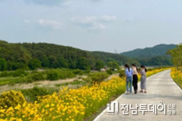 금계국