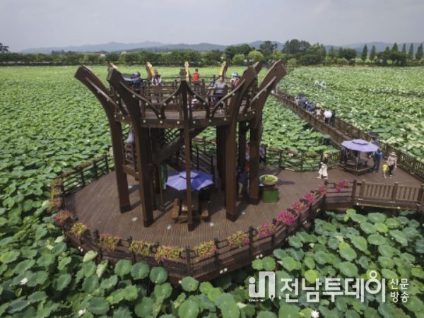무안군, 회산백련지에서 주말마다 버스킹 향연