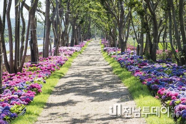 환상의 정원