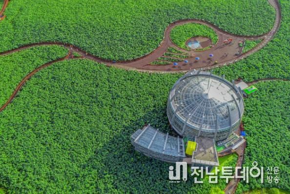 회산백련지 전경