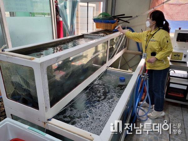광양시, 비브리오 패혈증 예방 위해 집중 위생 컨설팅