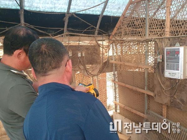 해남군“가축도 더워요”폭염피해 예방 현장지도 박차