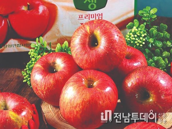 가을 하면 사과, 사과 하면 장성!