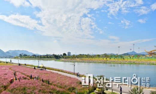 장성 황룡강 가을꽃축제 8일 ‘팡파르’