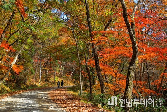 곡성군, 가을여행 숙박 요금 할인
