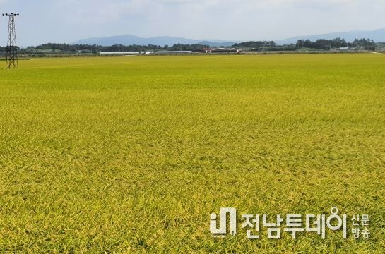 가루쌀 생산단지