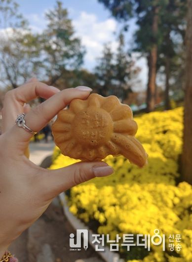 화순 국화축제 명물 ‘들순이 국화빵’이 돌아왔다