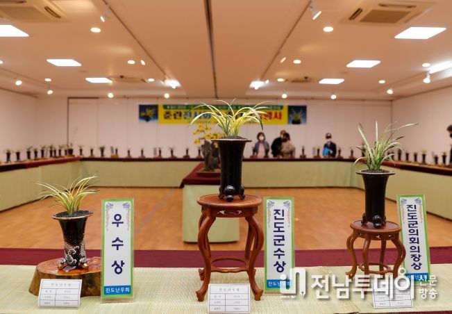 진도춘란 전시회…엽예품 등 100여점 전시