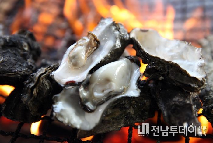 “장흥 굴 익는 마을, 겨울을 기다렸다”