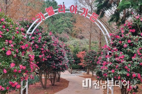 신안군 분재정원에서 “섬겨울꽃축제” 개막식 열려