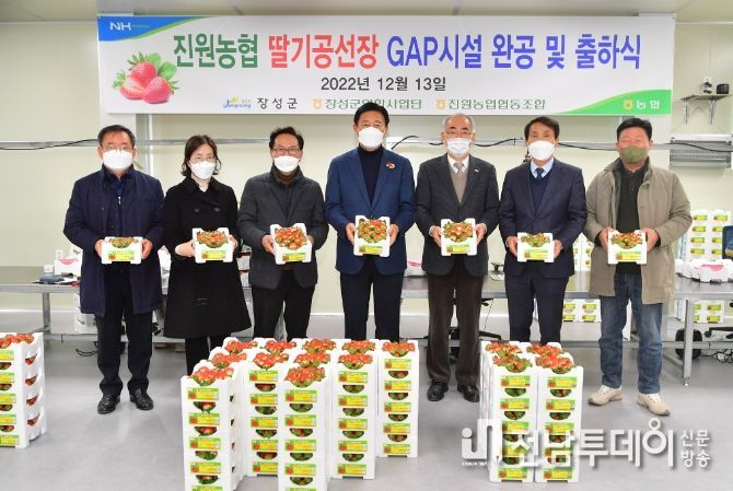 장성군 명품 '불태산 딸기' 본격 출하