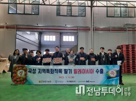 곡성군 딸기, 말레이시아로 올해 첫 수출