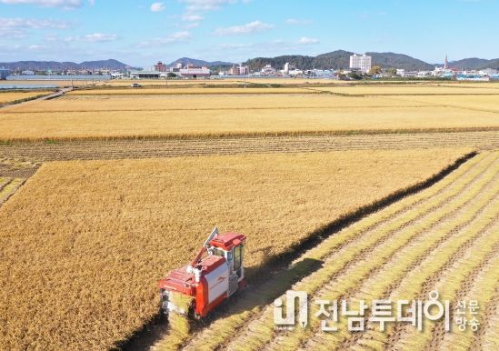 나주시, 벼 경영안정대책비 추가 지원 … 15억원 전액 시 예산 투입