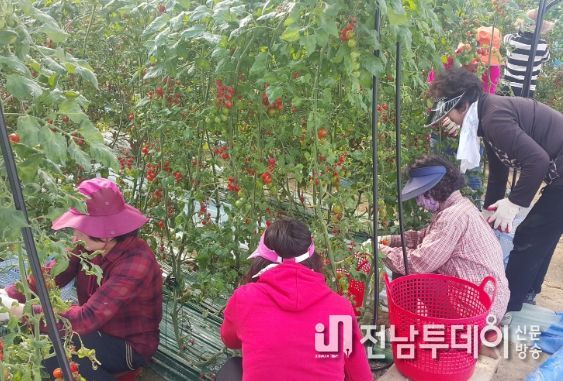 광산구 농촌인력중개센터 농가 인력 지원