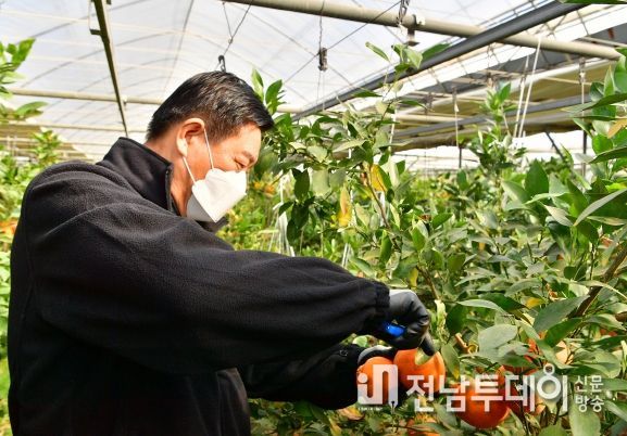 장성군 농촌은 지금 활력 회복 중!