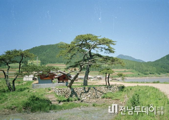 1988년, 윤고산둑과 고산목, 고산사당