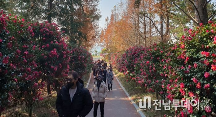 신안군, “섬 겨울꽃 축제” 성대하게 마무리