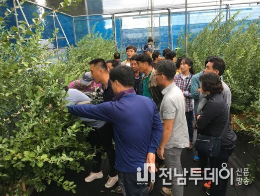 곡성군, 명품농업대학 블루베리 과정 신입생 모집