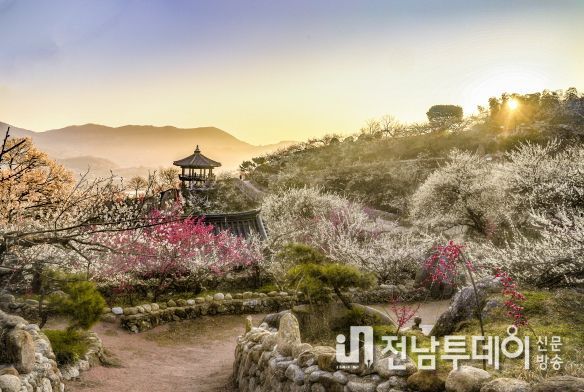 광양매화축제, ‘2023년 전라남도 대표축제’ 선정 쾌거