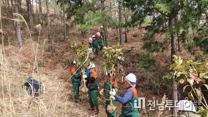 완도군, 2023 조림 사업 착수 8만 4천 본 식재