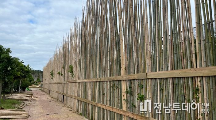 임자 매화정원 방풍시설