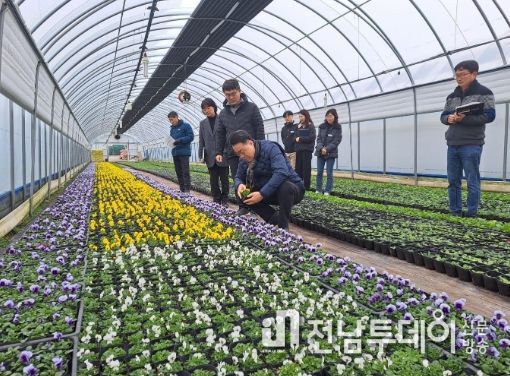 2023 화순 고인돌 축제 준비 1 : 구복규 군수가 농업기술센터를 방문하여 소장 및 관계 주무관들과 화순 고인돌 축제에 식재 될 팬지 등 봄꽃의 생육 상태를 살피는 모습
