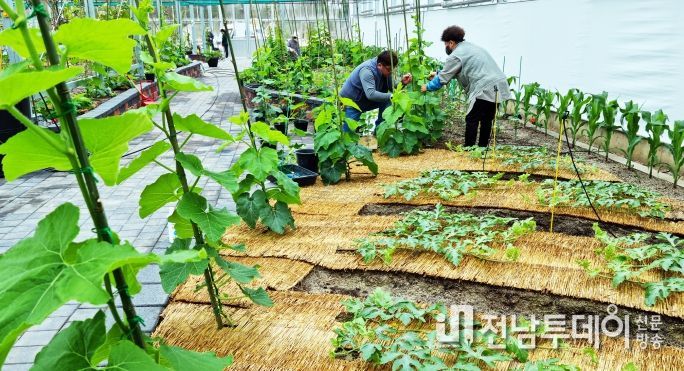 친환경농업관에 선보일 호박터널, 여주, 농작물을 관리하는데 손길이 분주한 모습