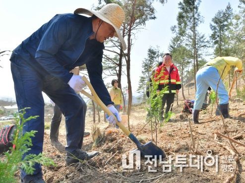 장성군, 군민과 함께 편백나무 3000여 주 식재