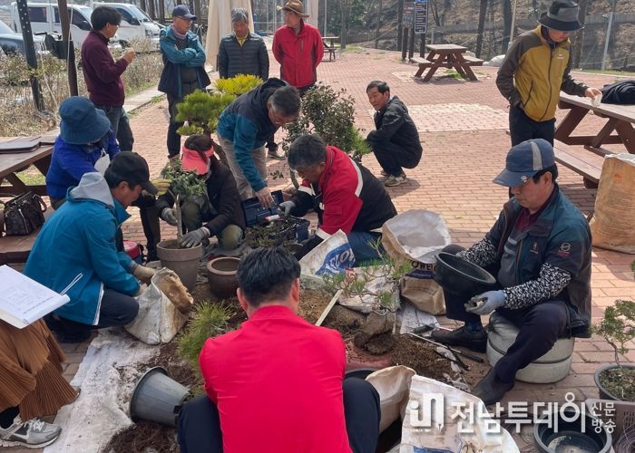 진도군, ‘무료 화분 분갈이 행사’ 진행