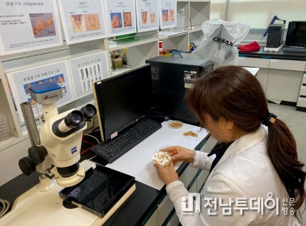 고흥군, 벼 안전육묘를 위한 종자 발아력 무료검사 지원
