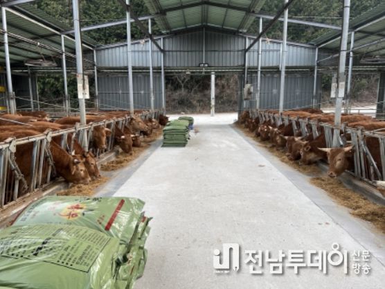고흥군, 한우농가 경영안정 위해 사료 구입비 긴급 지원