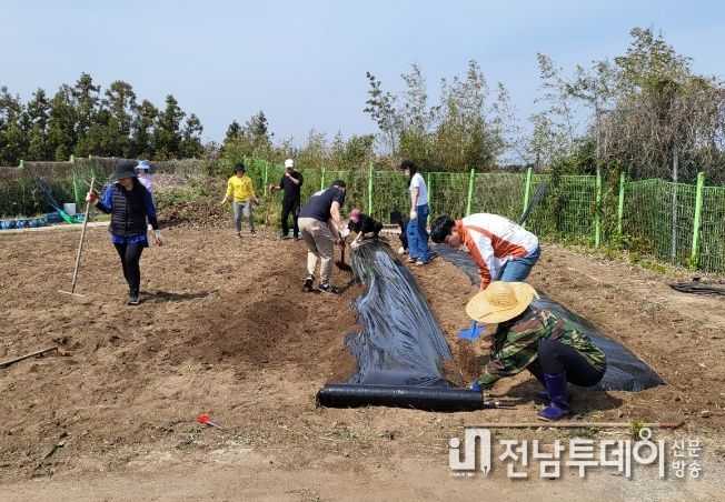 학부모회 학교 텃밭 조성