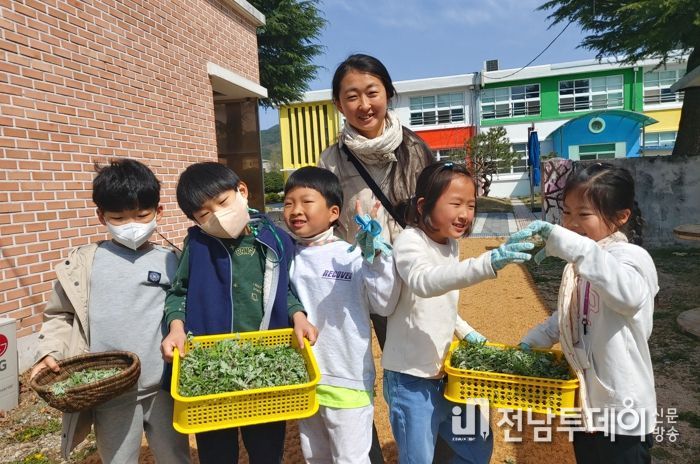 구례군 토지초등학교, 학생들이 직접 캔 쑥으로‘쑥떡 나눔 봉사활동’펼쳐
