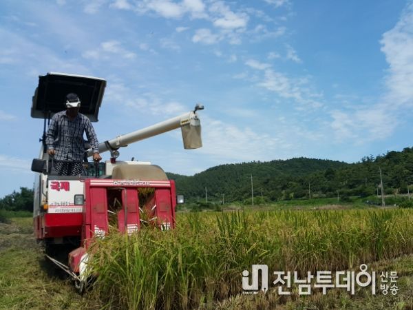 진도군, 기본형 공익직불제 오는 28일까지 신청‧접수