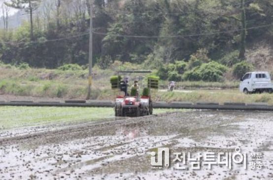 고흥군, 조생종 벼 모내기로 한 해 풍년 기원