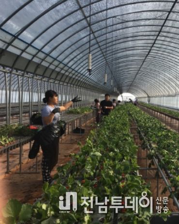 곡성군, 작목별 맞춤형 안전관리 실천 시범사업 추진