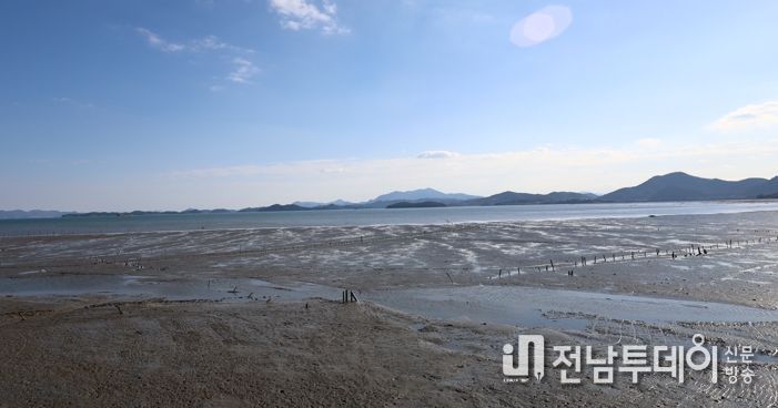 고흥갯벌