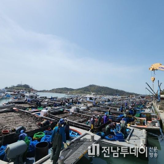 해남군 2023년산 물김 722억원으로 위판 종료