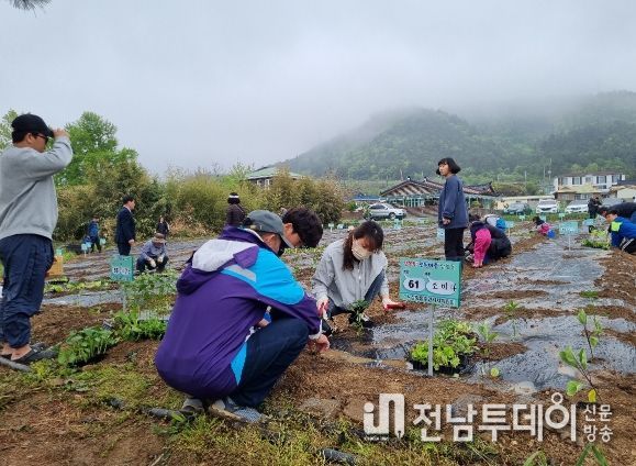 100세대가 참여한 삼향동 주말농장이 지난 29일 개장했다. / 목포시 제공